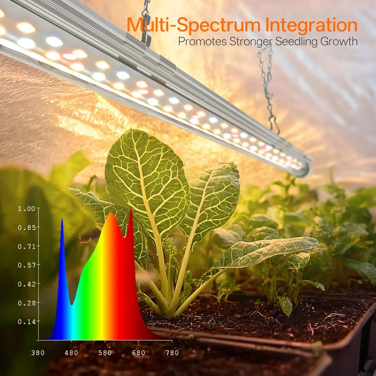 Indoor Greenhouse with Grow Light