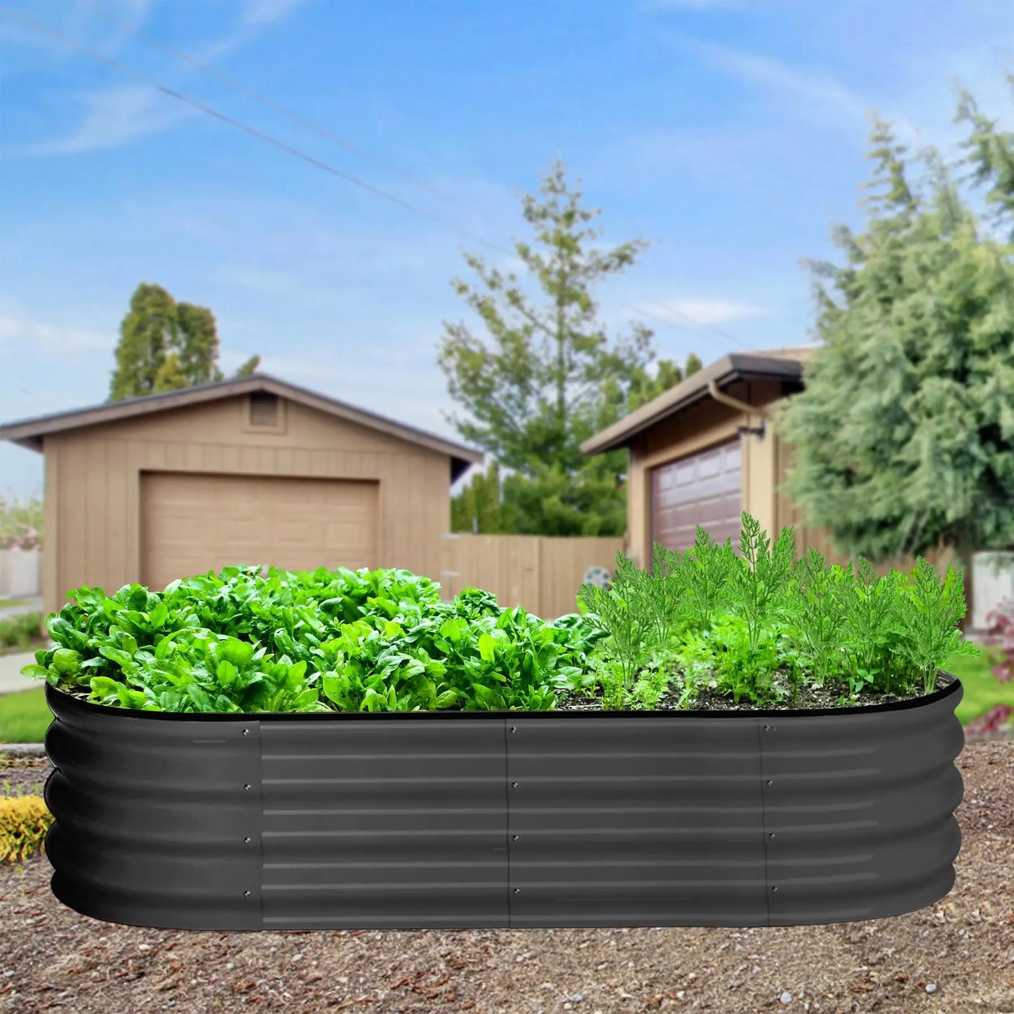 2-Pack Oval Galvanized Steel Raised Garden Bed