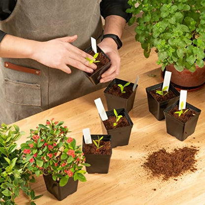Square Nursery Pots 3.3 Inches 100pc Set