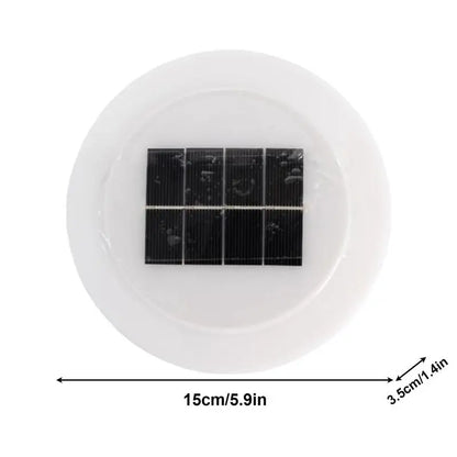 Solar Pool Lights