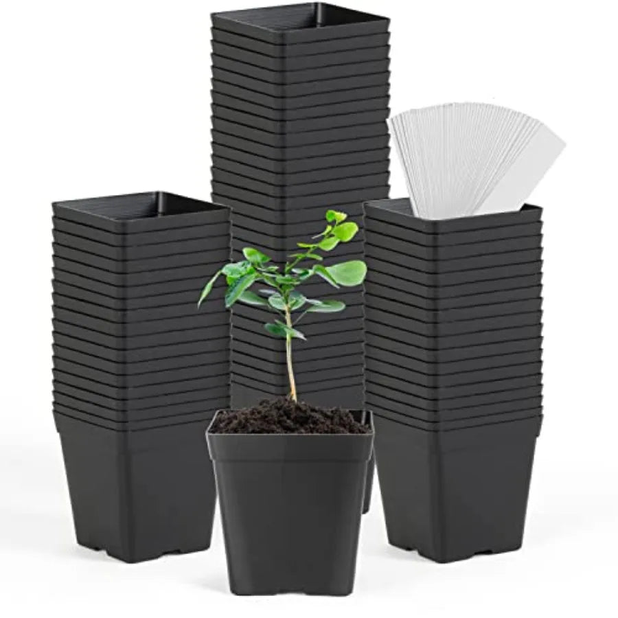 Square Nursery Pots 3.3 Inches 100pc Set