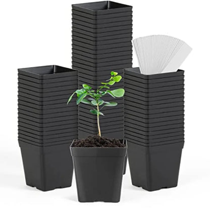 Square Nursery Pots 3.3 Inches 100pc Set