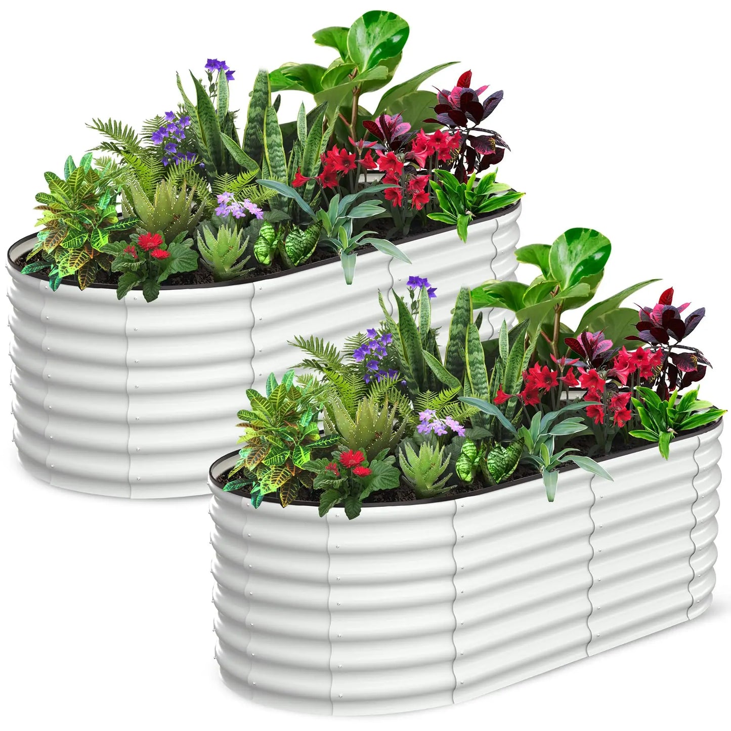 2-Pack Oval Galvanized Steel Raised Garden Bed