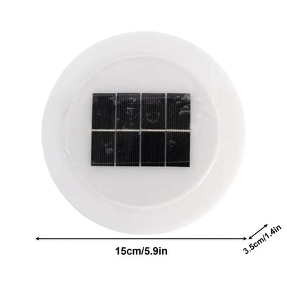 Solar Pool Lights