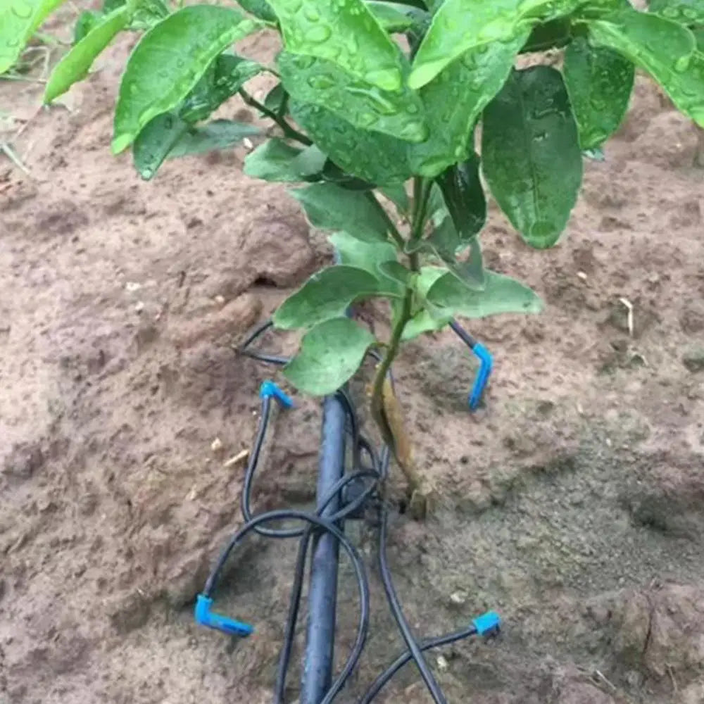 Irrigation System