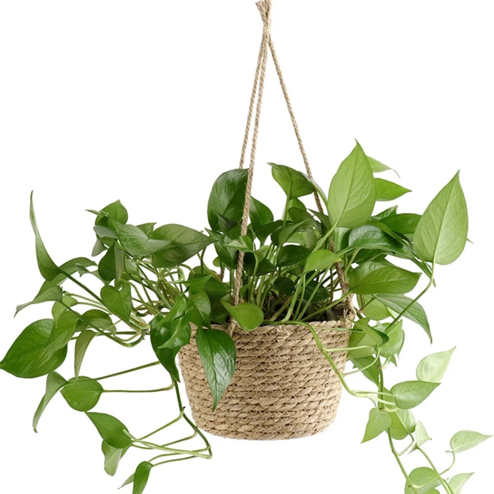 1PC Straw Hanging Basket Planter
