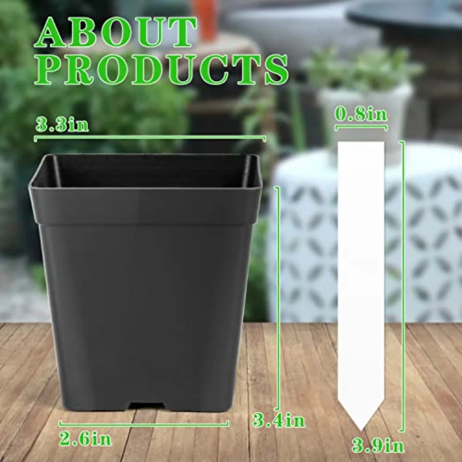 Square Nursery Pots 3.3 Inches 100pc Set